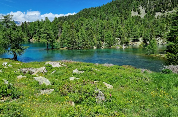 Hotel Sand****S - 20240704 143204